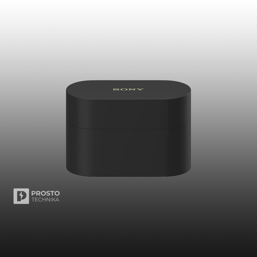 Наушники Sony WF-1000XM6, чёрный (Black)